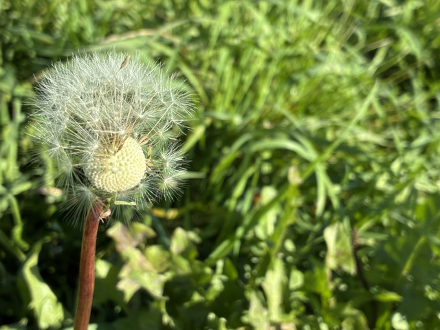 Landeplätze für Frohsinn
